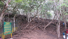 Coimbatore - Kodaikanal - Ooty - Mysore - Coimbatore